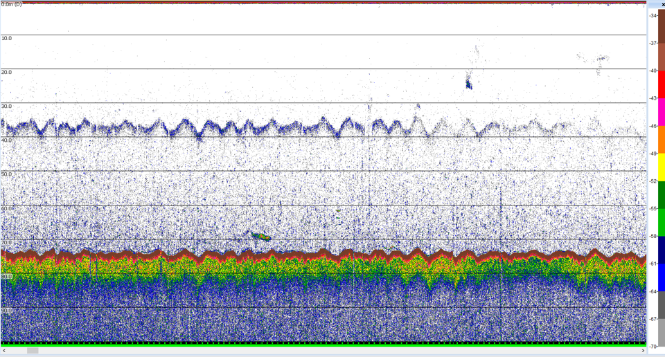 False bottom Simrad 120 kHz Ex60 data.
