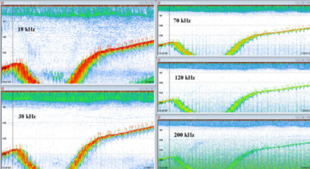 False bottom, Renfree and Demer 2016. Simrad Ex 60 18, 38, 70, 120, and 200 kHz data