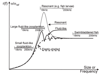 Frequency response from Korneluissen and Ona