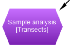 Sample analysis exporter with Transects selected