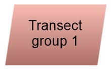 Transect group object