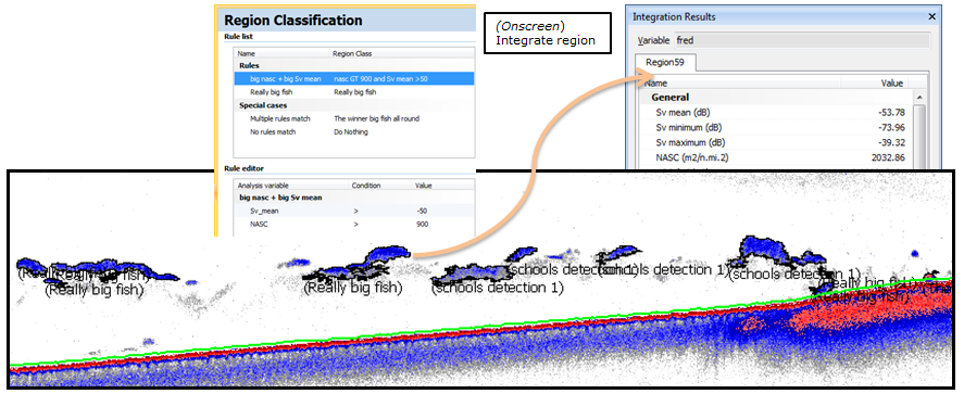 School detection and region classification